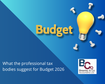 What the professional tax bodies suggest for Budget 2026